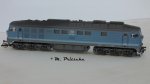 234 299-2.jpg