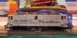 109 Küh Scandlines.jpg