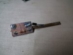 Pilz-14.jpg