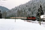 Loks 202 743 und 202 772 mit N 7541 von Dresden nach Altenberg bei Bärenstein (13.02.1994).jpg