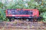 DSC_1546.jpg