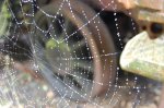 DSC_1593.jpg