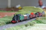 IMG_8484kl.jpg