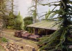 Wood01.jpg