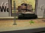 IMG_5534.jpg