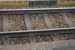 DSC03730.jpg