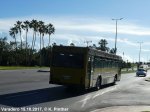 Bus-neu_171015_Varadero (21).jpg