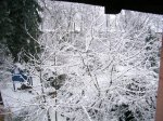 Weihnachten28.12.06 023.jpg