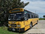 Bus_Daf_180603_Varadero (53).jpg