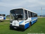 Bus_Hyundai_180603_Varadero (38).jpg