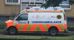 chevrolet-express-tierambulanz-amsterdam001.jpg