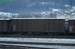 IMG_4856.JPG