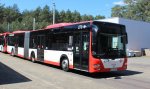 bus-man-lions-city-g-cottbus.jpg