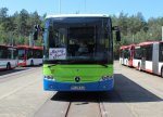 bus-mb-intouro-cottbus.jpg