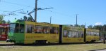 tram-tatra-ktnf6-cottbus137-2.jpg