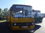 Ikarus260_Ikarustreffen_Cottbus_190518 (73).jpg