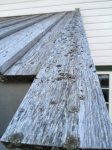 IMG_0045.jpeg