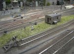 Vermis Bilder 035.jpg