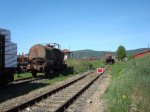 DSC00008.jpg