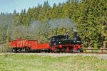 Pressnitztalbahn 30a.JPG