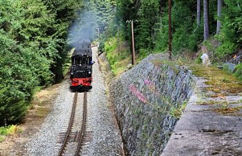 Pressnitztalbahnknipserei vom 18.8.19