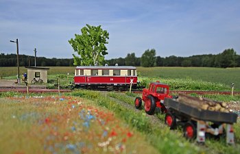 IMG_8094.JPG