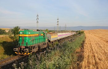 IMG_1912h-COAL-268-Aschezug.JPG