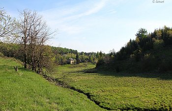 IMG_9149-Taelchen.JPG