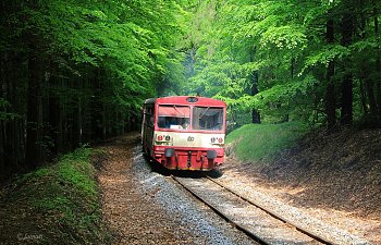 IMG_9176-Triebwagenzug.JPG