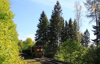 IMG_5055-CDC-Gueterzug.JPG