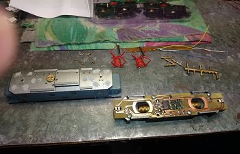 DSC_0039~01.jpg DSC_0039~01.jpg