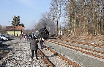 IMG_7605-Trebivlice-einfahrender-Dampfsonderzug.JPG