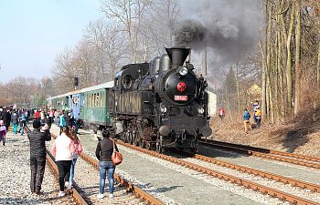 IMG_7606-Trebivlice-einfahrender-Dampfsonderzug.JPG