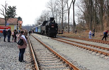 IMG_7677-Trebivlice-einfahrender-Dampfsonderzug.JPG