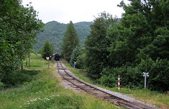 IMG_8549-Dampfsonderzug.JPG
