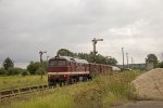 IMG_6006.jpg