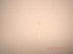 k-DSCN3944.JPG