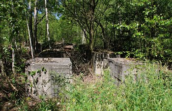 IMG_8844-Dul-Perun-Fundamentreste-Hochbunker.JPG