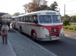 IFA H6-Bus mit Anhänger in Halle 13.10.2010.jpg