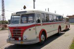 IFA Bus mit Anhänger in Halle 07.07.2011 07.JPG