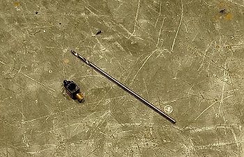 DSC_0747~01.jpg DSC_0747~01.jpg