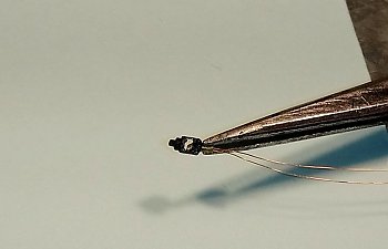 DSC_0749~01.jpg DSC_0749~01.jpg