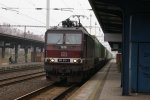 comp_DSC07113.jpg