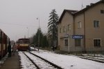 comp_DSC07141.jpg
