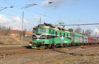 IMG_1990.JPG IMG_1990.JPG