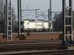 CIMG3216.JPG