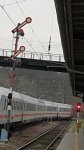 20210405_102717.jpg