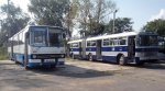 Budapest Ikarus 180 u. 280.jpg