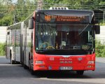 2015man-a23-lions-city-g-ng363-weser-ems.jpg