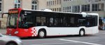 2018mb-citaro-c2-teutobus002.jpg